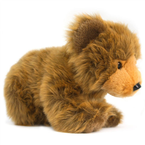 Borya The Baby Grizzly Bear