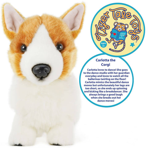 Carlotta The Corgi