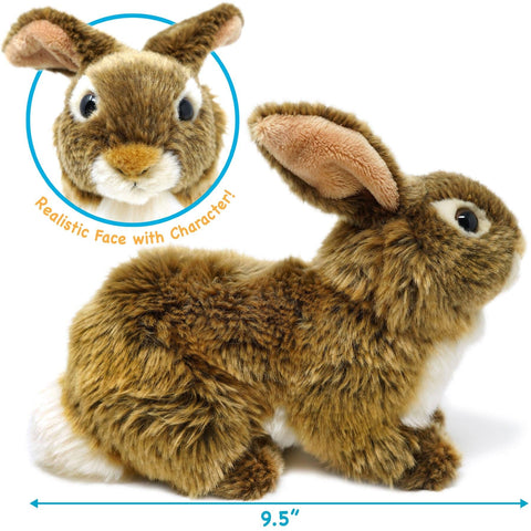 Brigid The Brown Rabbit