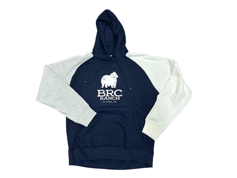 BRC Colorblock Hoodie