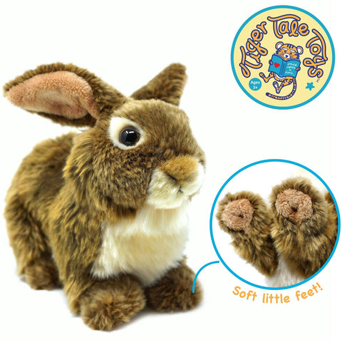 Brigid The Brown Rabbit