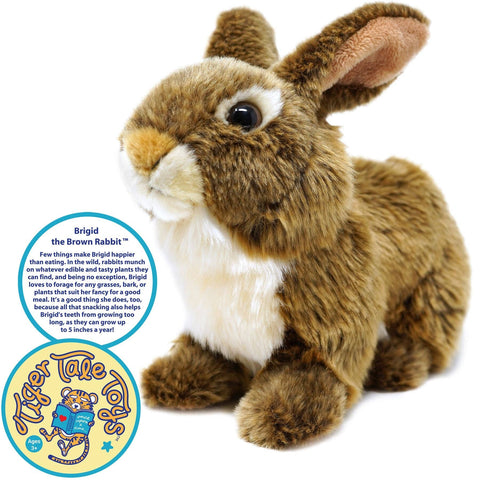 Brigid The Brown Rabbit