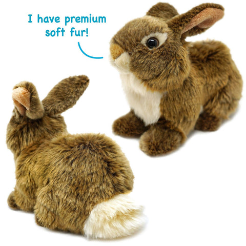 Brigid The Brown Rabbit