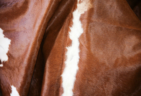 Assorted Cowhide Rug Bundle – 5 Pack (5x7 ft) | High-Margin