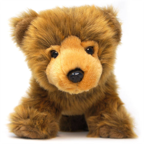 Borya The Baby Grizzly Bear