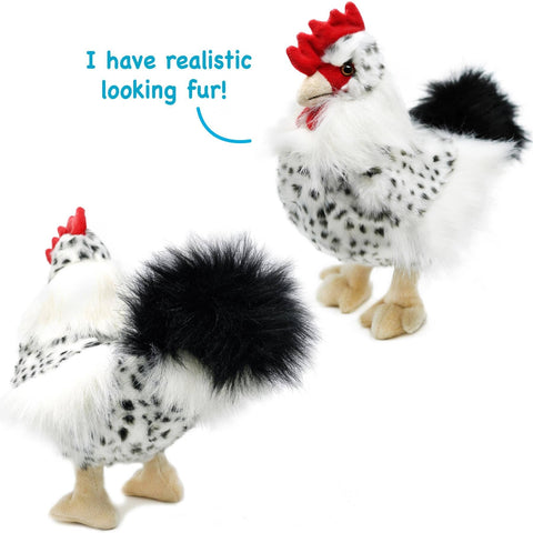 Rambles The Rooster