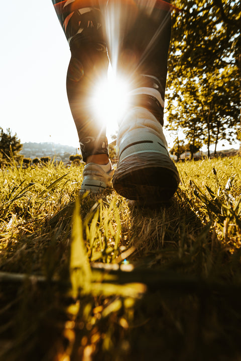 Beef is Protein Power for 2026