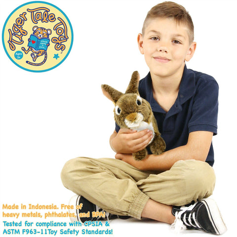 Brigid The Brown Rabbit