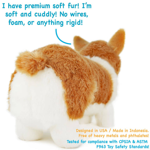 Carlotta The Corgi