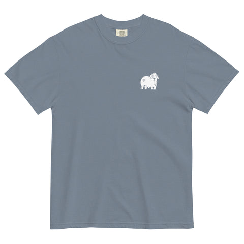 BRC Captain at Sunset Modern Brahman T-Shirt